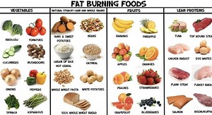 Learn How to Lose Weight Without Exercises