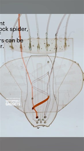 This robot is made from layers of silicon sheets