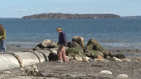 New details on water investigation at Willard Beach to be released