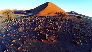 1.5K views · 89 reactions | Namibia - Land of Contrasts Source: Grant Peacock Music: www.bensound.com Link: https://www.youtube.com/watch?v=RY0xBwPNhIU #ReasonsToVisitNamibia #flyairnamibiaonly | Air Namibia | Facebook