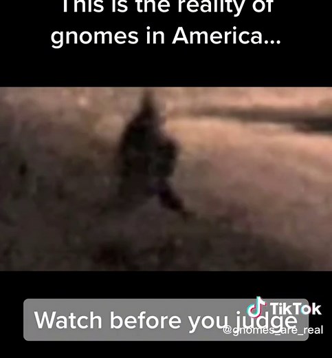 #gnomereality #gnome #bewareofgnome
