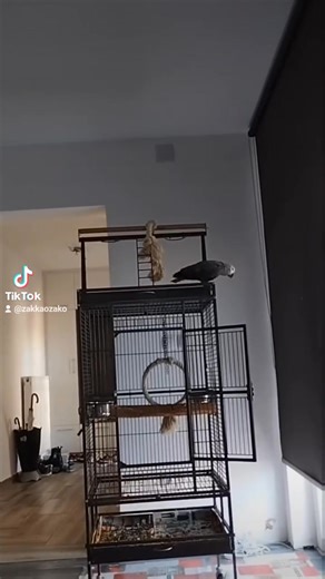 evo jedna uspomena od prije 2. god kad su prvi mediji dijelili zakova videa😂 😂 | Zak Kao Zako