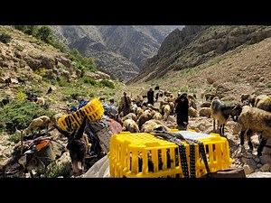 Nomadic life: 🏕See the Amazing Nomad Migration! | The End of Life in the Mountains ⛰️