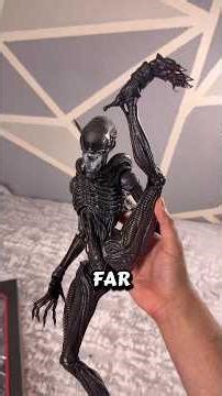 THE ALIEN XENOMORPH IS HERE 🔥