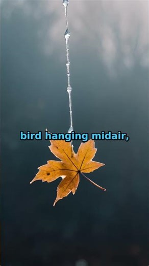 A Watch That Freezes One Moment at a Time