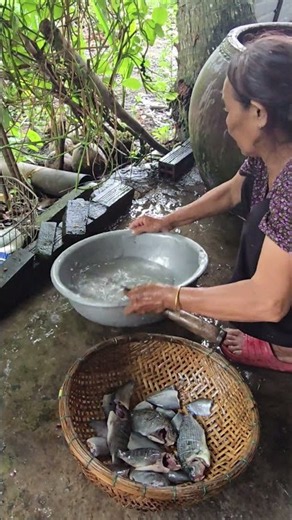 People in the Mekong Delta select the fish.