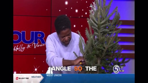 1.4K views · 53 reactions | Holiday Pro-Tip: The key is to wrap the light cords around each branch so the wires disappear and only the glow shines through. For more simple holiday inspiration, tune in to WDTV First at Four with Holly and Vince every Friday during the 4 o’clock hour to catch me. You can watch past segments on https://www.youtube.com/@trellissmithwv | Modern Homestead at Tathams | Facebook