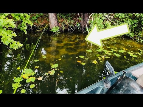 SIGHT FISHING REDEAR IN SPAWNING BEDS‼️SHELLCRACKER FISHING WITH LIVE CRICKETS‼️
