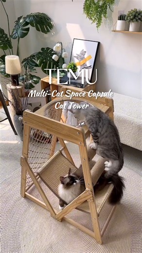 Discover a variety of items on Temu, featuring unbeatable clearance deals you won't want to miss | Temu