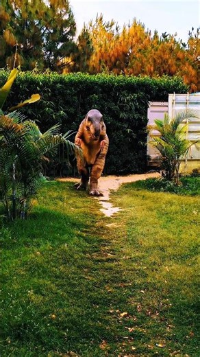 Jo dinosaur Ki duniya hoti hai