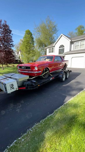8.2K views · 23 reactions | 1966 Mustang FOR SALE!! It could be yours! #cars #classiccars #classics #racecar #vintage #vintagecars #classiccarsforsale #carsforsale #classiccorvette #mustang #camaro | Bob Evans Classics | Facebook