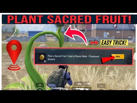BGMI Week 3 Mission: Plant a Sacred Fruit 1 Time in Classic Mode | Primewood Genesis Guide