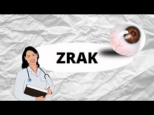 ZRAK - Anatomie oka