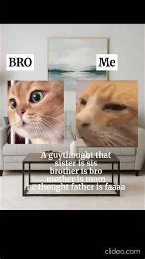 The Funniest CATS of 2026... So Far!Meme TrendProof that Cats Rule the World (2026 Meme Edition)"