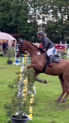 Equestrian Skills Showcase: Horse Riding in Nature