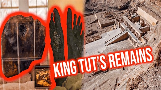 Valley Of The Kings Found Mummy In Tomb