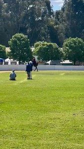 Grand Champion 3 Gaited Natural Mane & Tail | Saddlebred Society of South Africa