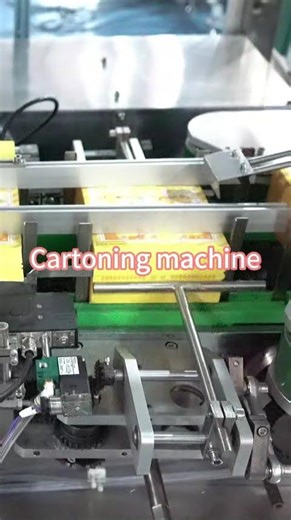 Automatic Cartoning Machine | Efficient Box Packing Solution