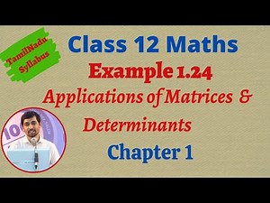 Class 12 Maths | Example 1.24 | Applications of Matrices and Determinants