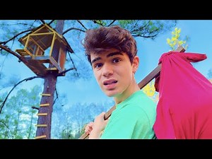 I Moved Into a Treehouse