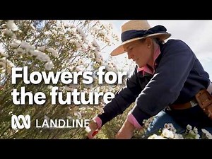 Are flowers the secret to this thriving farm? | Landline | ABC Australia