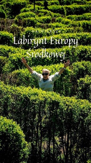 The largest living maze in Europe is just across the border! 🌳 #shorts #travel