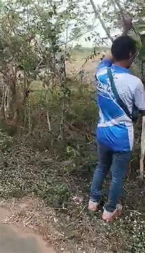 MT FERNANDEZ LAND surveying and realty services, land survey at Calabeng, Bani, Pang. | Revelina Tadena Fernandez