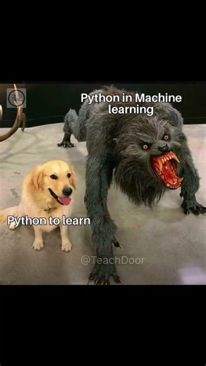 Same same but different||Teach Door video||#reels #programming #python #status #technology #viral