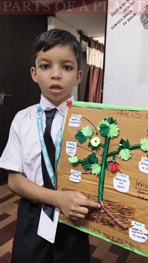 Parts of a Plant | Class II Science Activity | Mount Litera Valley Public School, Jamui