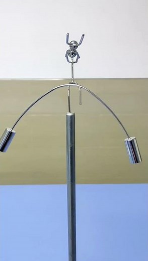 Swing Balance Experiment #balanceexperimen t#swingphysics #funscience
