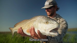 New for 2024 // Professional Series // #tforods #fishtheoriginal The newly redesigned, best-selling Professional Series of spinning and casting rods offers anglers an affordable, high-quality, versatile lineup for pursuing freshwater and saltwater gamefish. Find out more about them at the link below: https://tforods.com/product/professional/ Video: Oliver Sutro Freddie Gluck Anglers: Gold Leader guide Service BlackBird Guide Services #inshorefishing #lighttackle #bassfishing #spinfishing #baitca