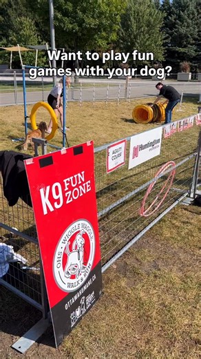 2.1K views · 25 reactions | Test your dog’s agility ability and learn...