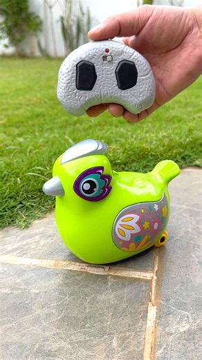 Remote control Rc Hen Unboxing And Testing