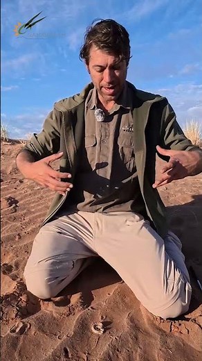 Exploring the Dunes with Expert Dayne Braine