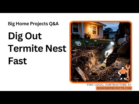 Excavation Termite Nest Removal With Dust Treatment