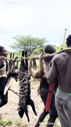 When the hunters return with meat, it’s not just food — it’s a BIG celebration! 🏹🔥 #realtribeslife