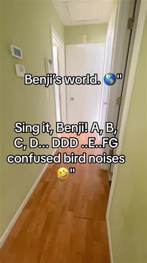 Benji the Talking Quaker Parrot: A Singing Sensation