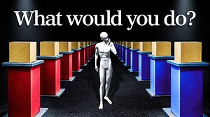 This Paradox Splits Smart People 50/50 | Ghislain Fourny