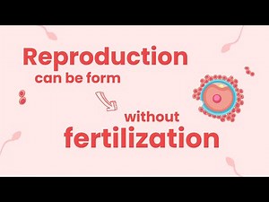 Reproduction In Organisms | CBSE Class 12 Biology | NCERT - TG Campus