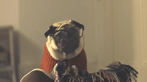 Vision Direct Christmas advert 2015 â¿¿ A Pugâ¿¿s Christmas