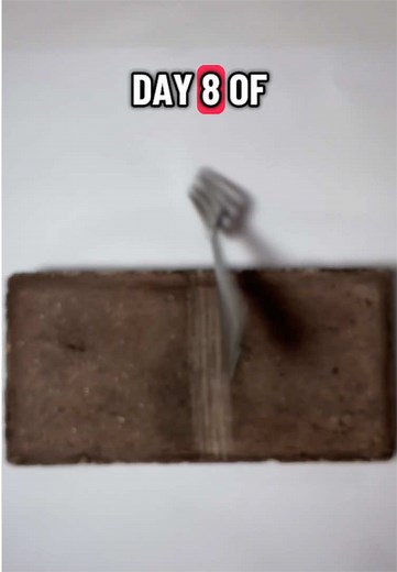 Day 8 of fork vs brick help me out pls :) #day1 #challenge #fork #spoontobunker #maiami