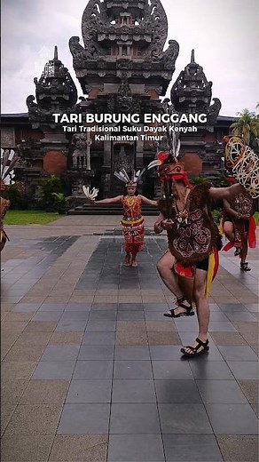 Keunikan Tari Burung Enggang, Tari Tradisional Suku Dayak Kenyah Kalimantan Timur #taritraditional