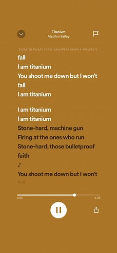 Madilyn Bailey Titanium Lyrics