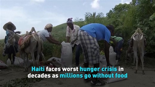 Haiti faces worst hunger crisis in decades as millions go without food