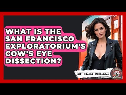 What Is The San Francisco Exploratorium's Cow's Eye Dissection? - Everything About San Francisco