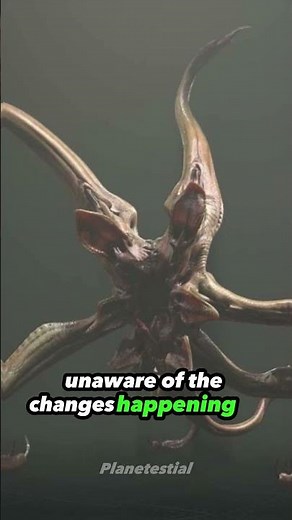 Trilobite: The Prototype Facehugger and Its Terrifying Legacy #trilobite #convenant #xenomorph