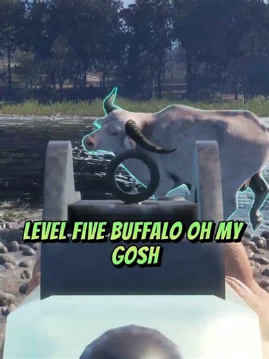 CHARGED By An Albino Water Buffalo! Call of the wild #shorts