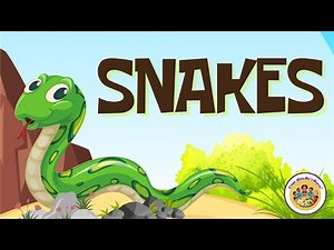 All About Snakes! 🐍 | Fun Facts & Learning for Kids | C'mon Kids Let's Learn