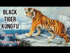 black tiger Kung fu for beginners lesson 3 / warm up and stretching tutorials / 黑虎拳第三课