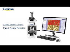 How to Train a Neural Network in OLYMPUS Stream™ Software